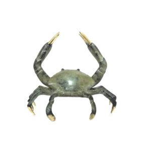 Crab Bronze