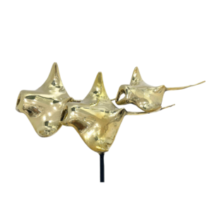 Manta Bronze