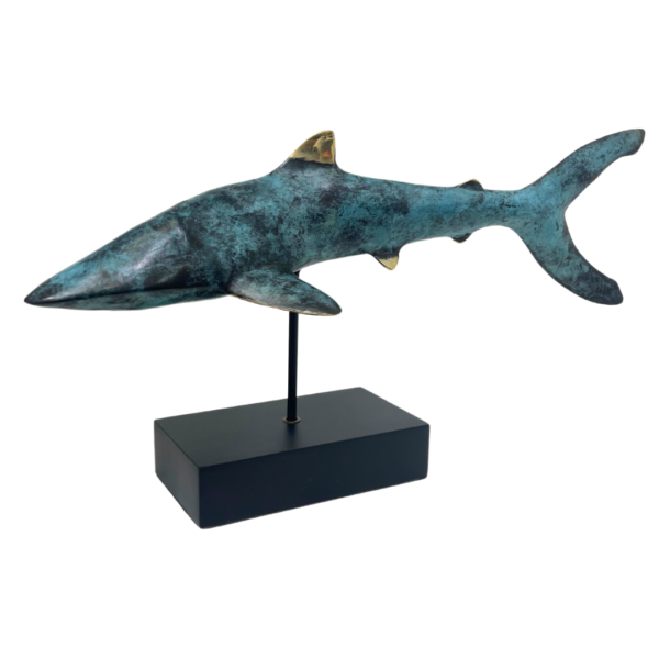 Shark Bronze
